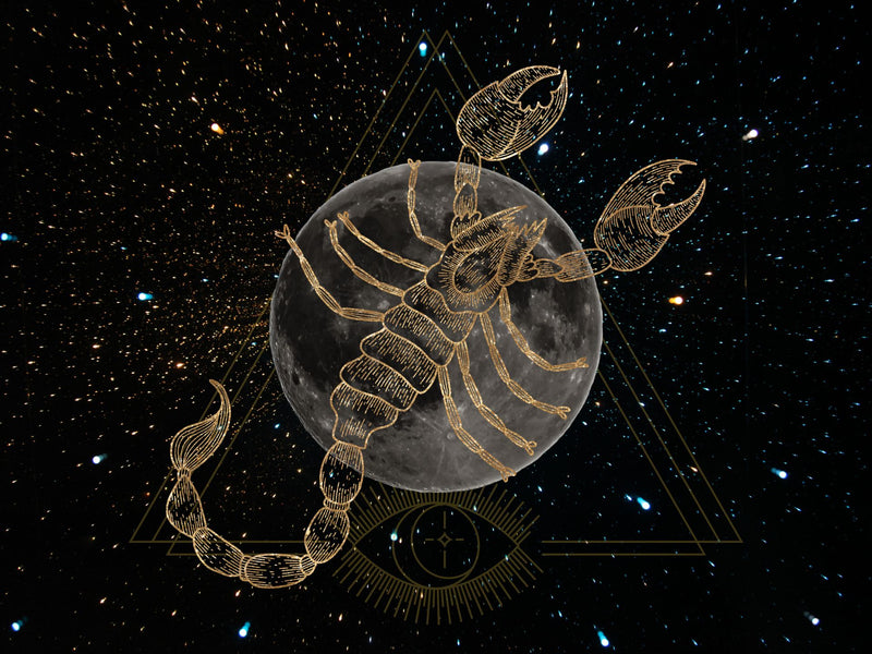 Embrace the New Moon in Scorpio: Reclaiming Your Pleasure & Power